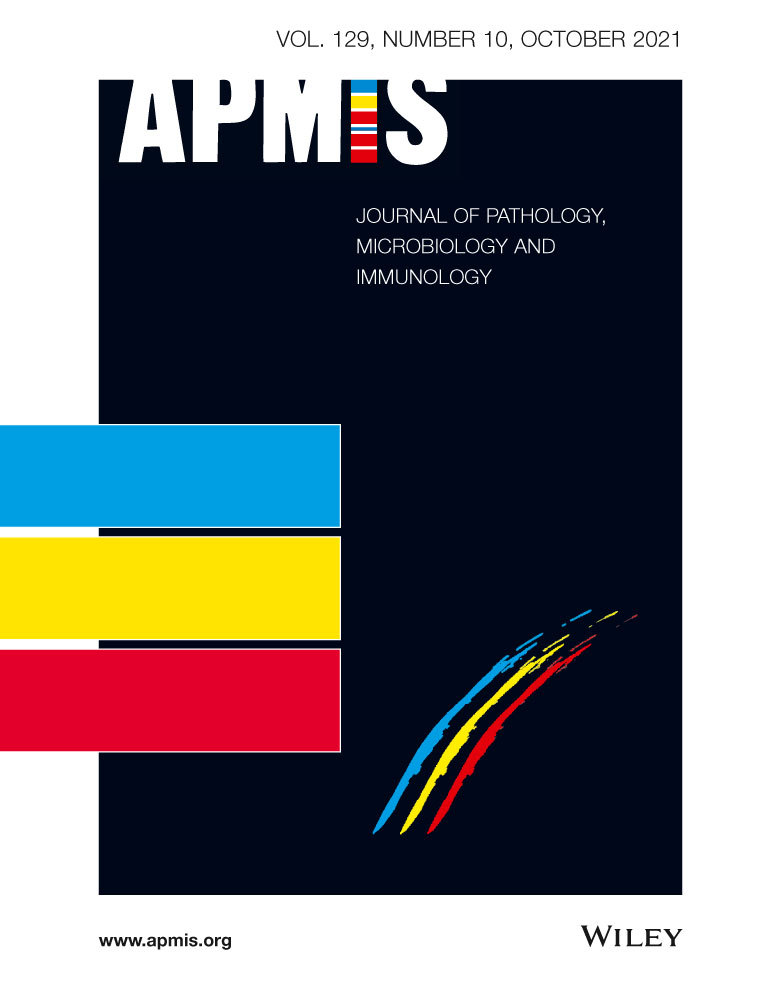 Novel human in vitro vegetation simulation model for infective endocarditis