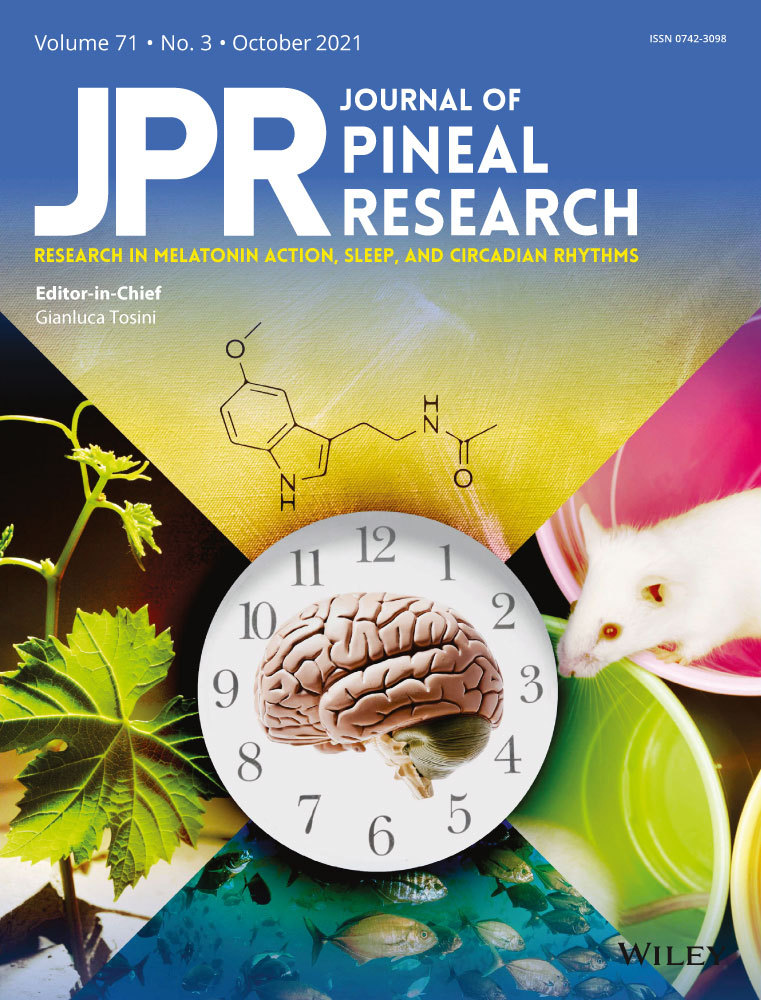 Maternal melatonin: Effective intervention against developmental programming of cardiovascular dysfunction in adult offspring of complicated pregnancy