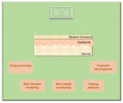 Recent Progress in Skin‐on‐a‐Chip Platforms