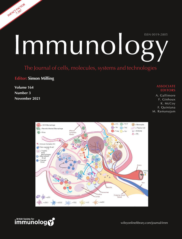 A specialist antigen storage compartment in dendritic cells to sustain cross‐presentation