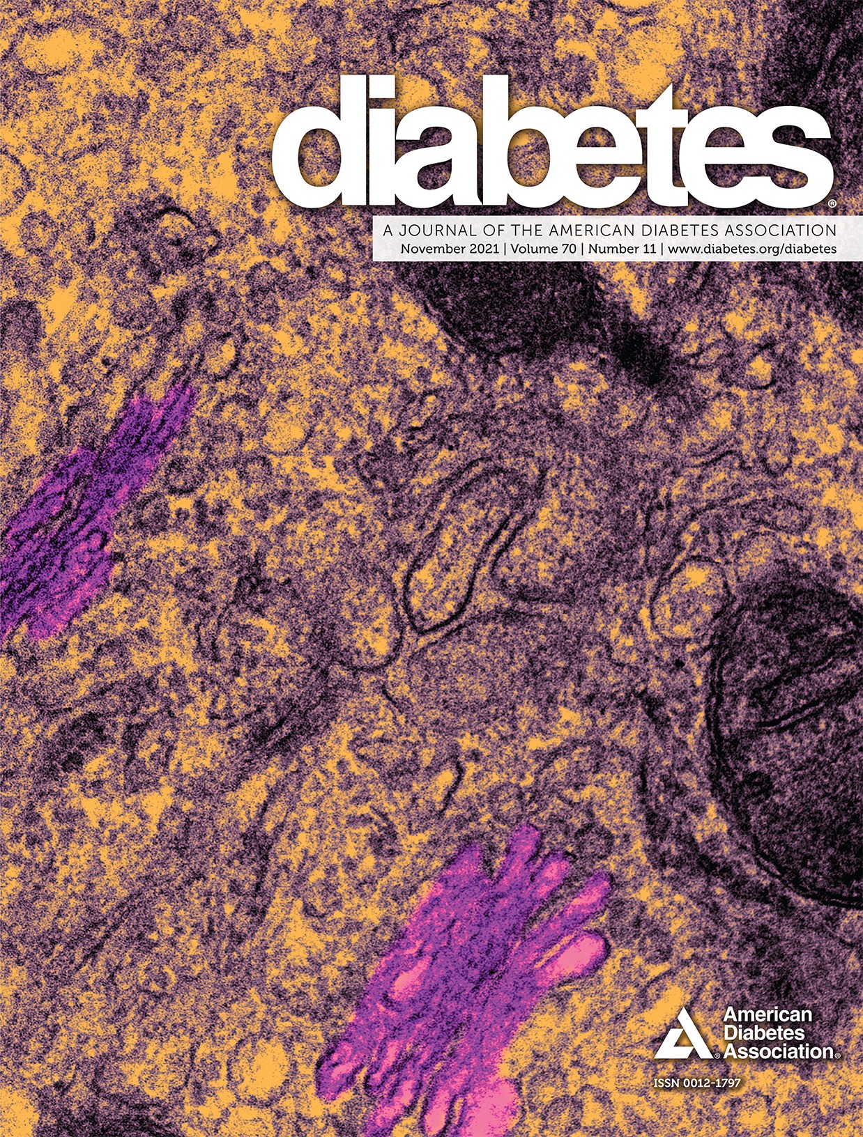 GIP Receptor Agonism Attenuates GLP-1 Receptor Agonist-Induced Nausea and Emesis in Preclinical Models