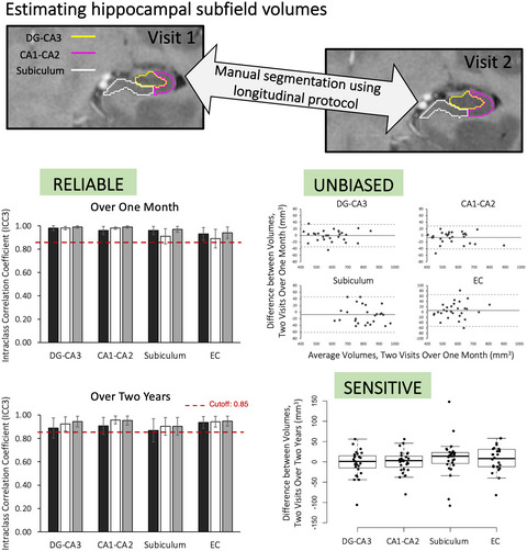 Test–retest reliability of hippocampal subfield volumes in a developmental sample: Implications for longitudinal developmental studies