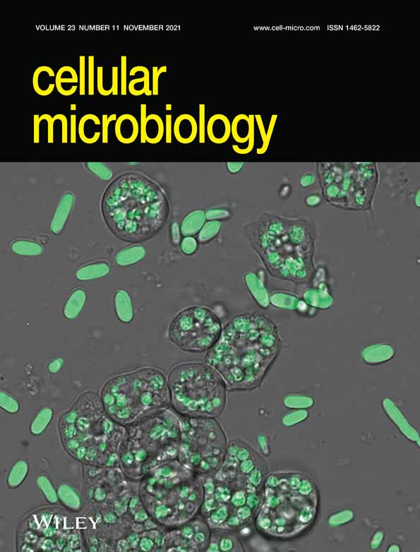 Chlamydia and HPV induce centrosome amplification in the host cell through additive mechanisms