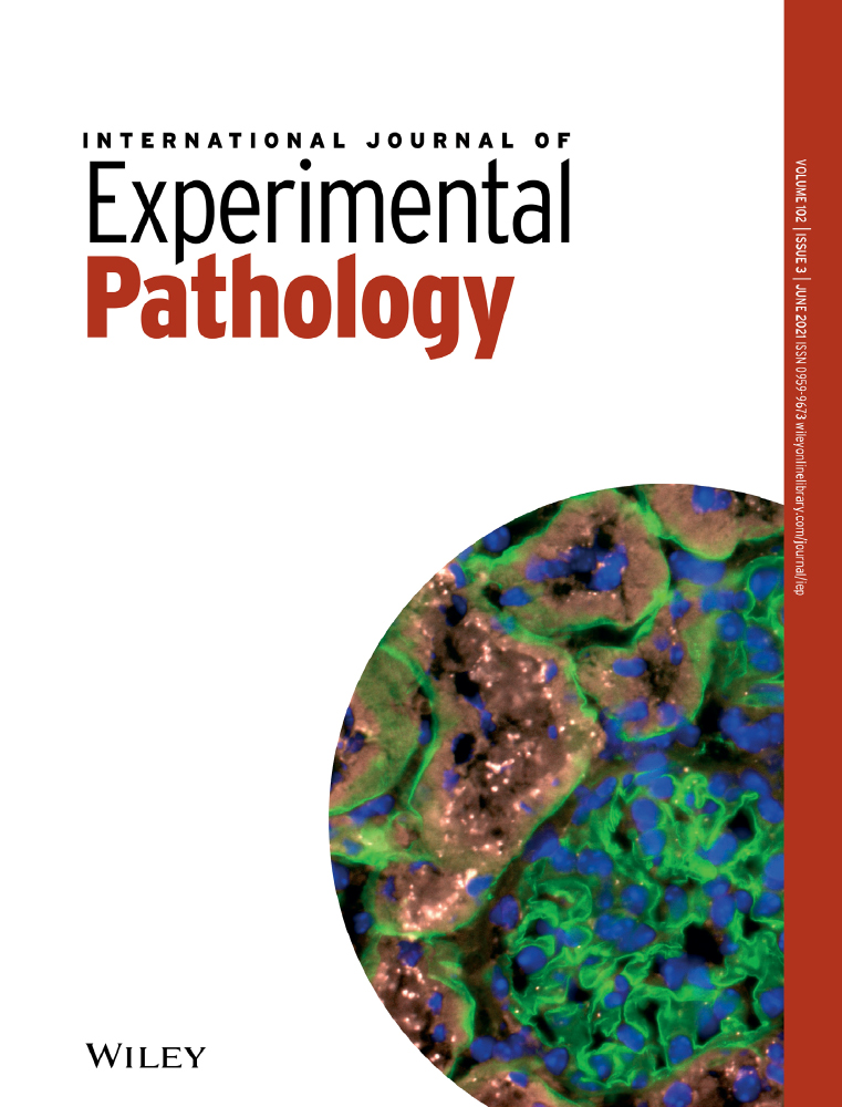 miR‐942‐5p prevents sepsis‐induced acute lung injury via targeting TRIM37