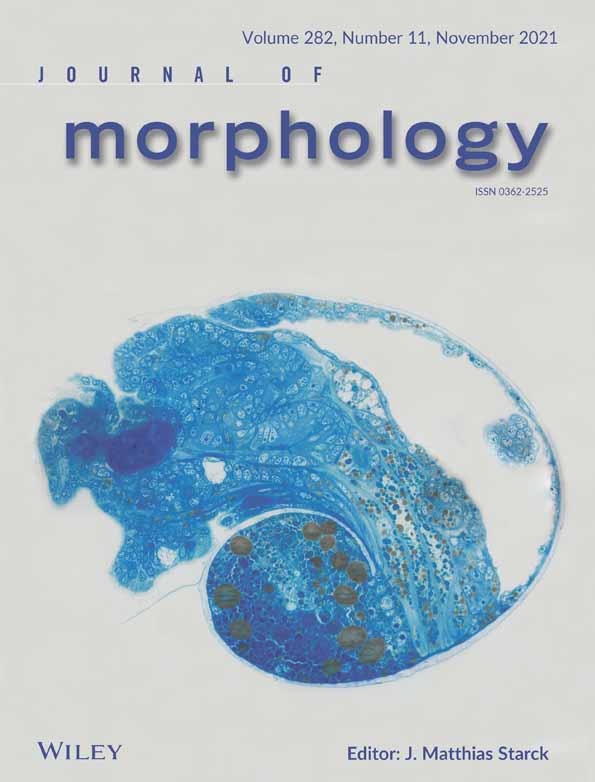 Histology and ultrastructure of the gastrointestinal tract in four temperate marine herbivorous fishes
