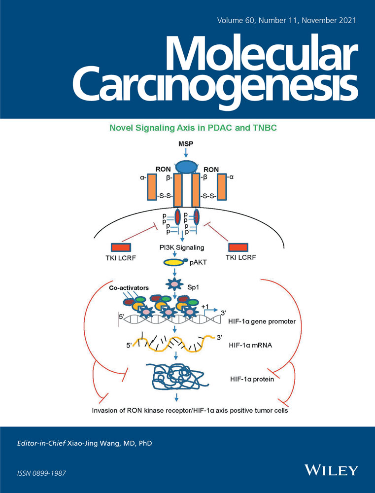 MiR‐15a‐3p regulates ferroptosis via targeting glutathione peroxidase GPX4 in colorectal cancer