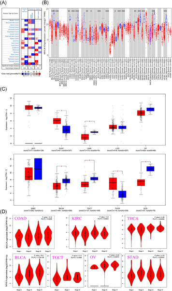 The landscape of prognostic and immunological role of myosin light chain 9 (MYL9) in human tumors