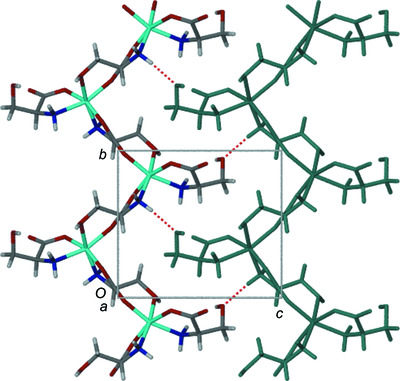A homochiral coordination polymer of cobalt(II) and l‐serine