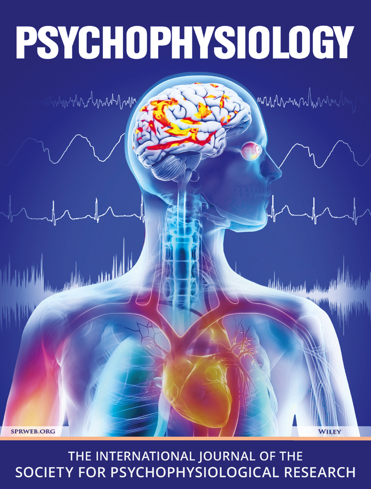 Steady state‐evoked potentials of subjective beat perception in musical rhythms