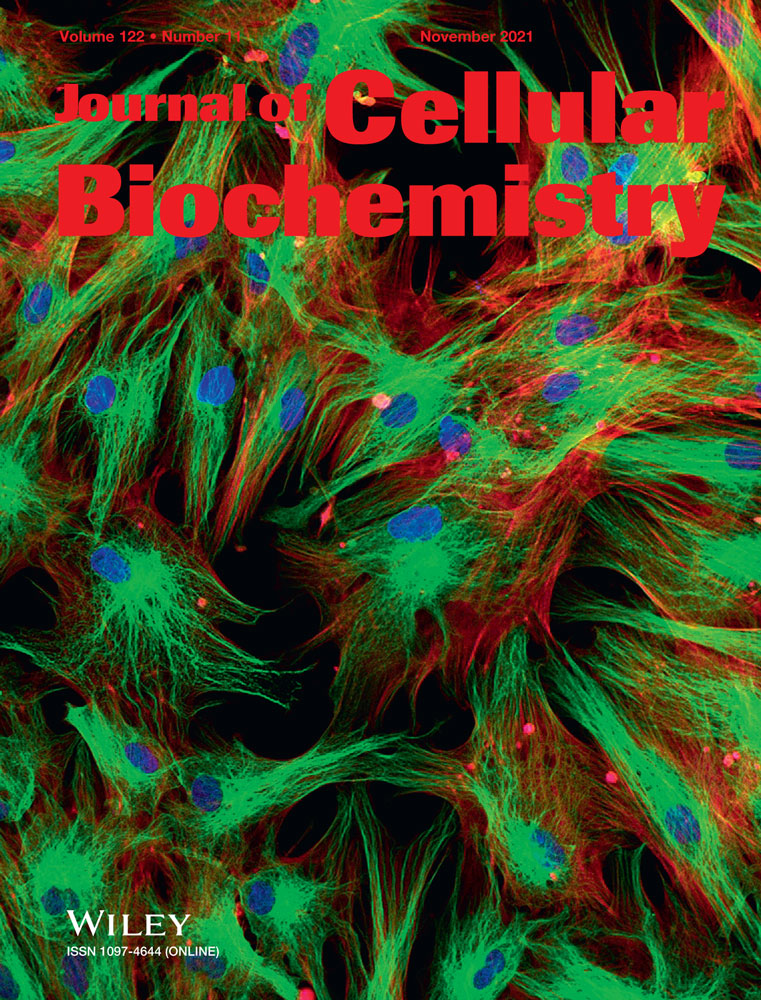 3D‐QSAR, molecular docking, molecular dynamics, and ADME/T analysis of marketed and newly designed flavonoids as inhibitors of Bcl‐2 family proteins for targeting U‐87 glioblastoma