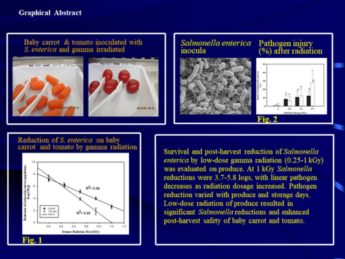 Gamma radiation treatment of postharvest produce for Salmonella enterica reduction on baby carrot and grape tomato