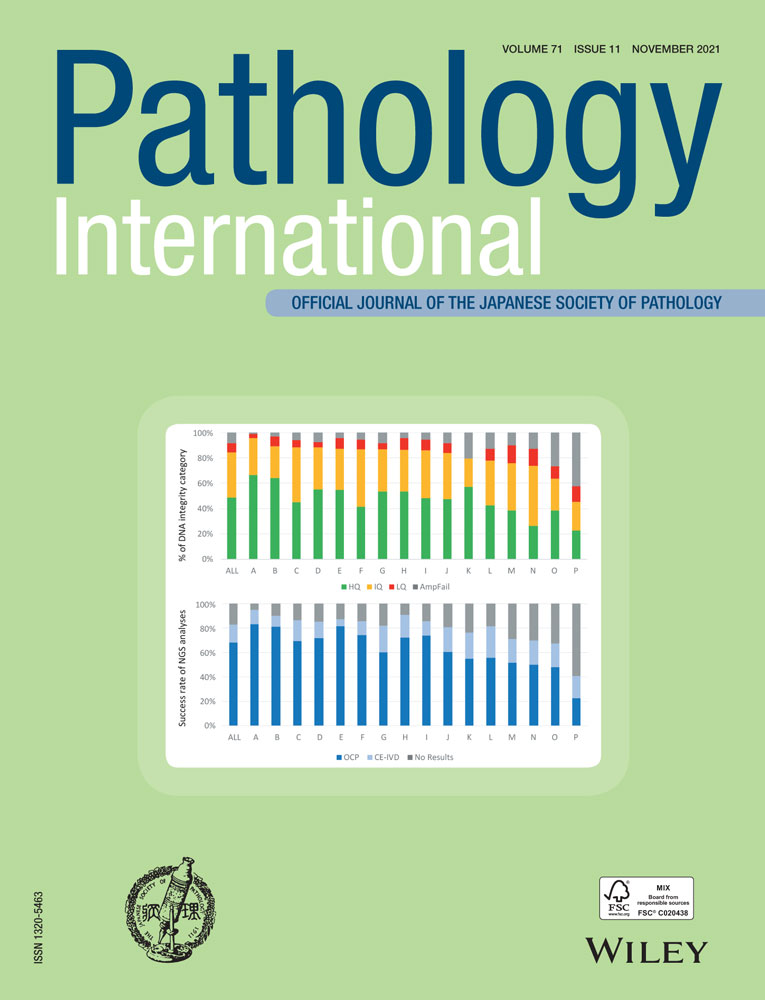 Pathogenic BRCA2 germline variants in combined hepatocellular‐cholangiocarcinoma