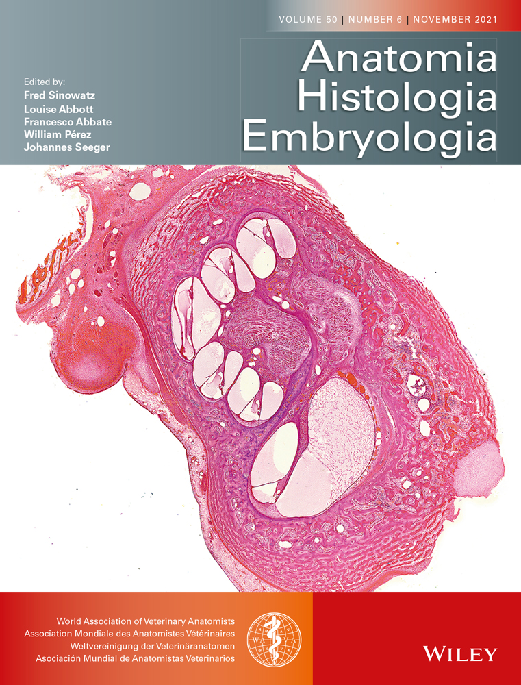Ocular microscopy of Bradypus variegatus