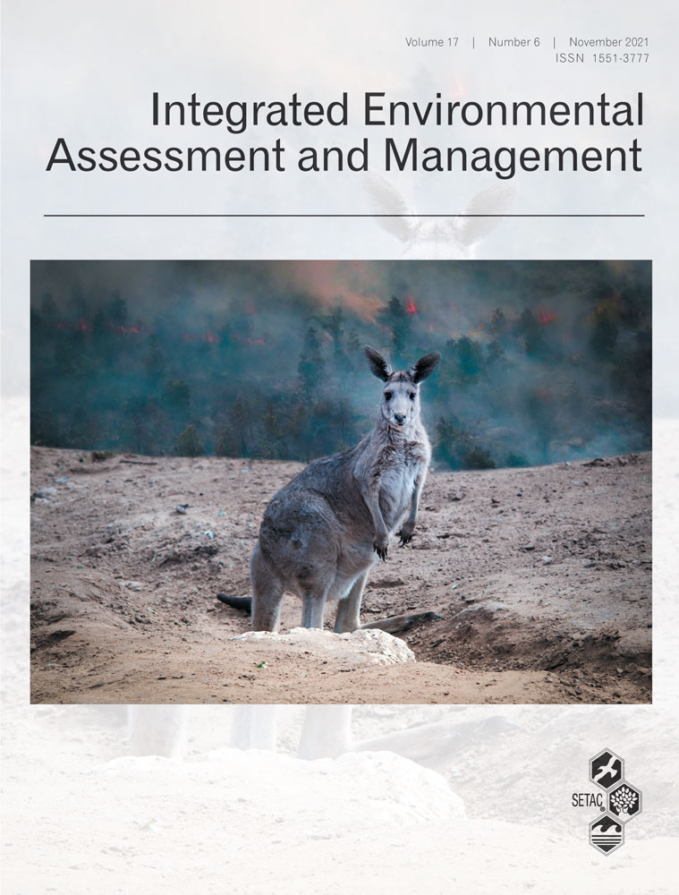 Meta‐analysis of SEA's effectiveness evaluation criteria: A comparison between the Chinese and international contexts