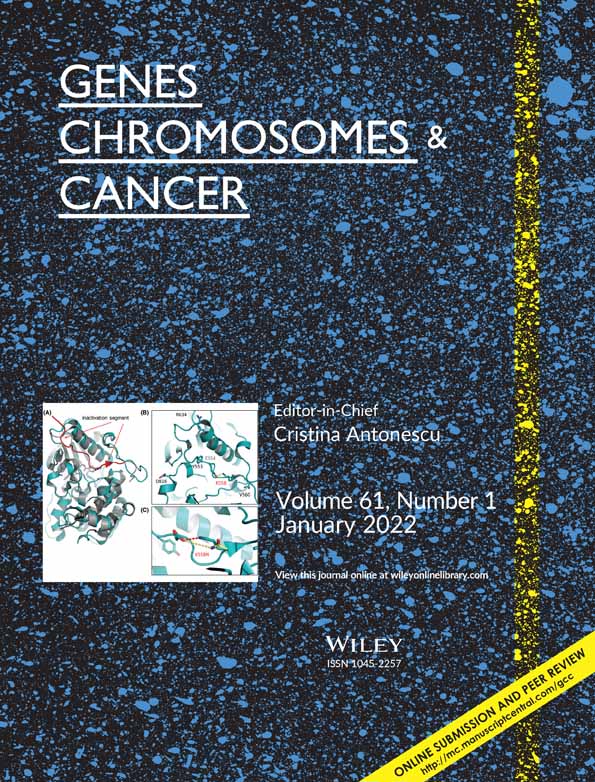 Comprehensive analyses of microRNA and mRNA expression in colorectal serrated lesions and colorectal cancer with a MSI phenotype