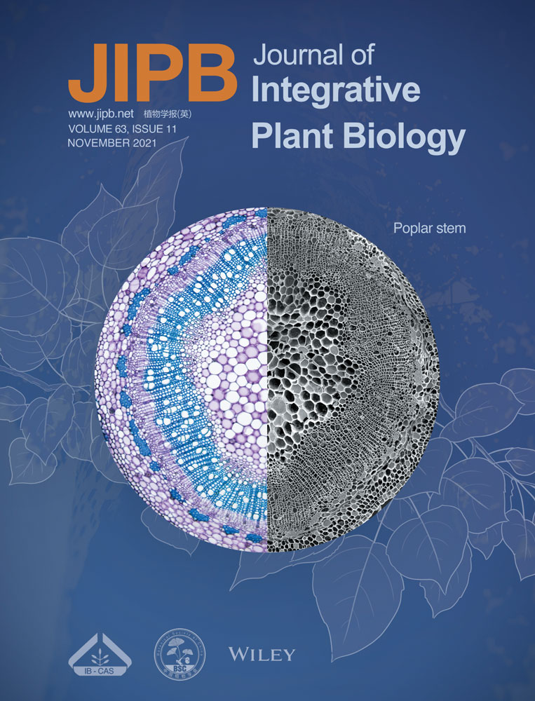 RID1 sets rice heading date by balancing its binding with SLR1 and SDG722