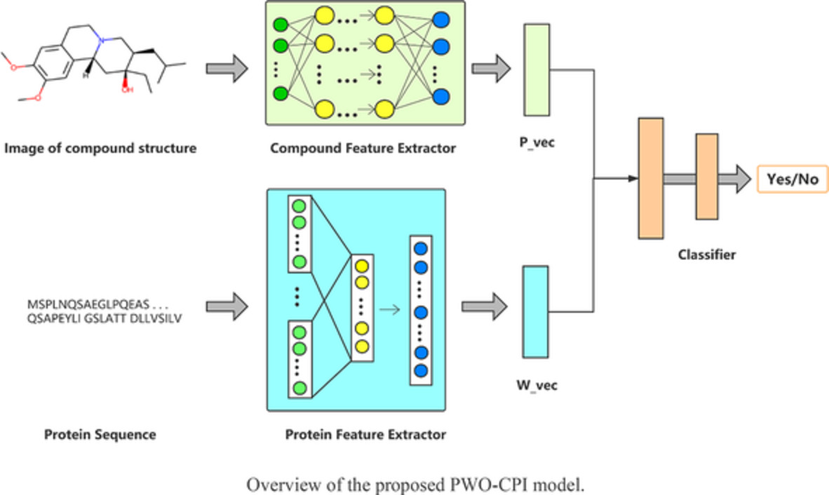 Picture‐word order compound protein interaction: Predicting compound‐protein interaction using structural images of compounds