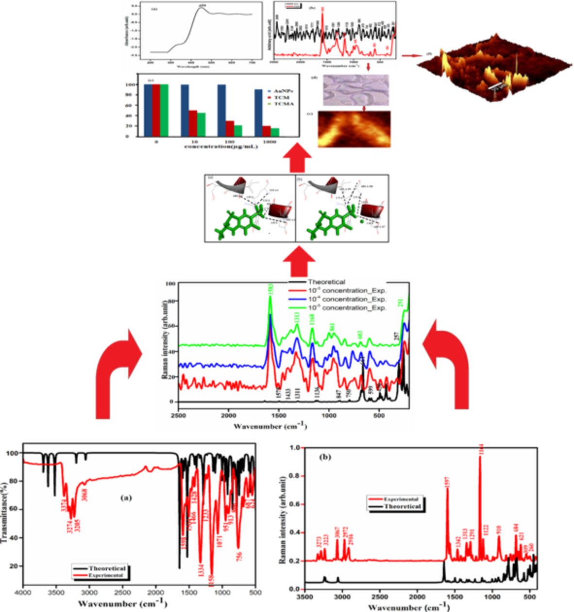 Spectroscopic studies, quantum chemical investigations, and in silico and in vitro scrutiny of the diuretic drug trichlormethiazide adsorbed on AuNPs