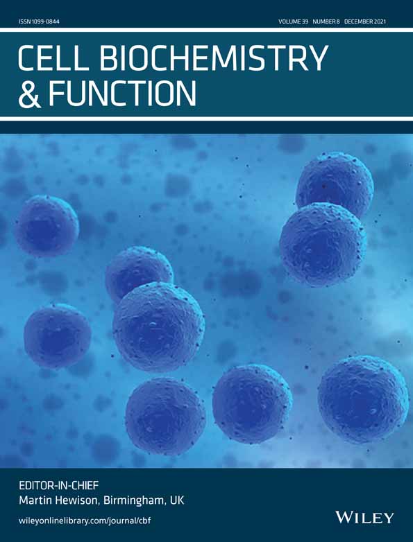 Antidiabetic effects of quercetin and liraglutide combination through modulation of TXNIP/IRS‐1/PI3K pathway