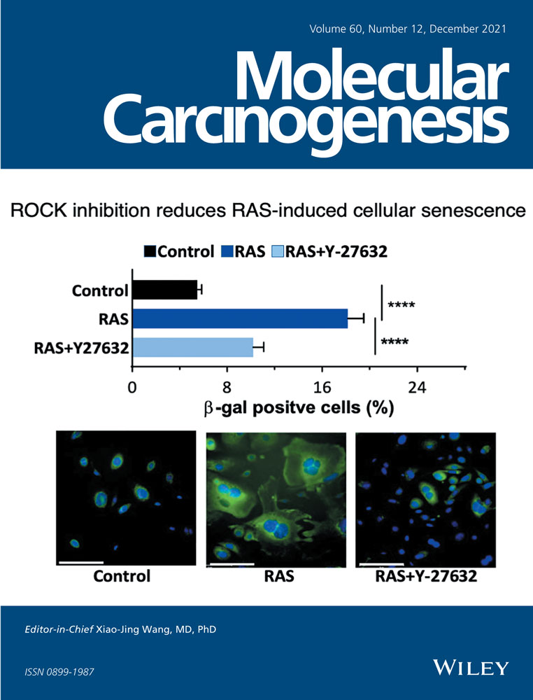 Neoadjuvant endocrine therapy expands stromal populations that predict poor prognosis in estrogen receptor‐positive breast cancer