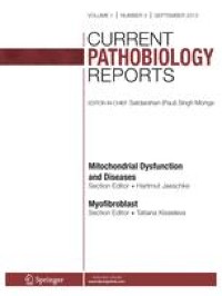 Angiogenesis in Wound Healing following Pharmacological and Toxicological Exposures