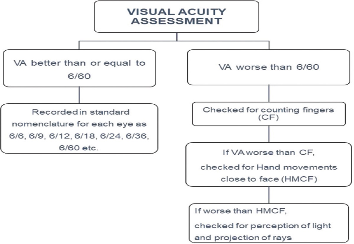 Habitual visual acuity in a large urban cohort of Western India and factors influencing poor habitual vision
