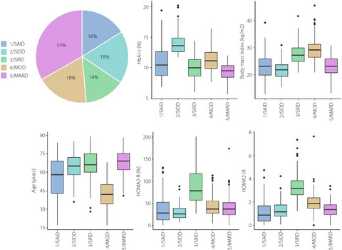 Usefulness of subclassification of adult diabetes mellitus among inpatients in Japan