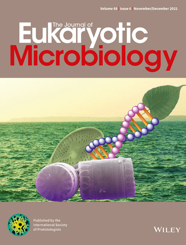 Seasonal monitoring of Cryptosporidium species and their genetic diversity in neonatal calves on two large‐scale farms in Xinjiang, China