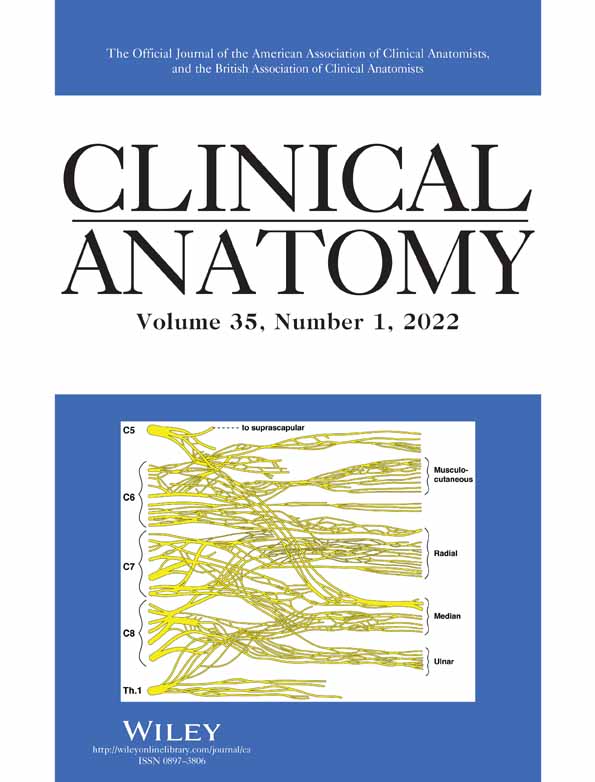 Termination points of the facial artery—A meta‐analysis