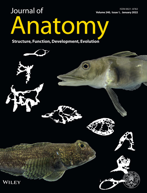 Issue Cover (January 2022)