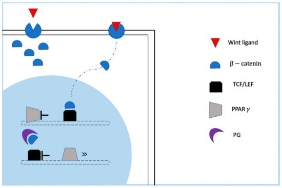 Cardiogenetics, Vol. 11, Pages 263-289: Pathogenesis, Diagnosis and Risk Stratification in Arrhythmogenic Cardiomyopathy