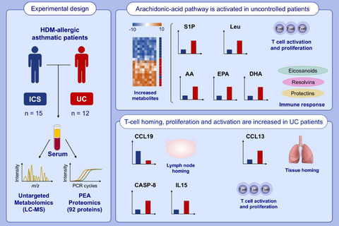 Understanding uncontrolled severe allergic asthma by integration of omic and clinical data
