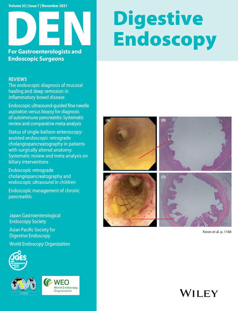 Modified underwater endoscopic mucosal resection for a laterally spreading tumor: “Underwater” snaring and “undergas” resection