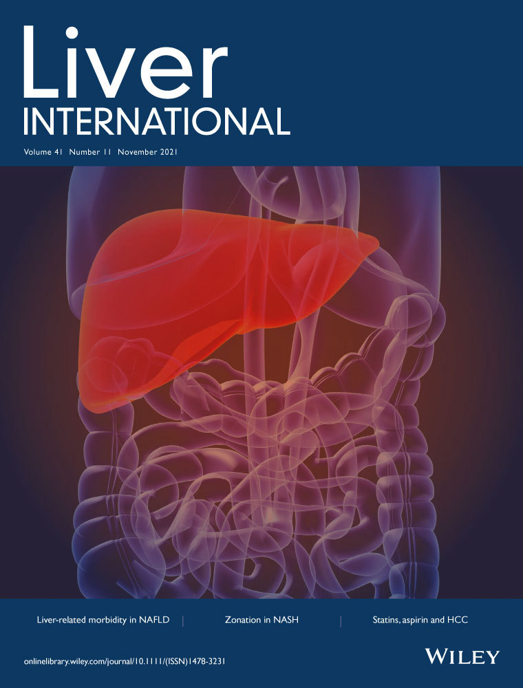 ssHepatocellular carcinoma after treatment cessation in non‐cirrhotic HBeAg‐negative chronic hepatitis B: A multicenter cohort study