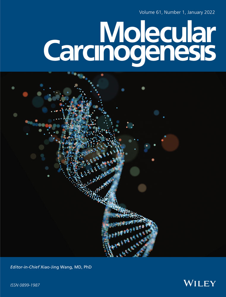 LINC02381 aggravates breast cancer through the miR‐1271‐5p/FN1 axis to activate PI3K/AKT pathway
