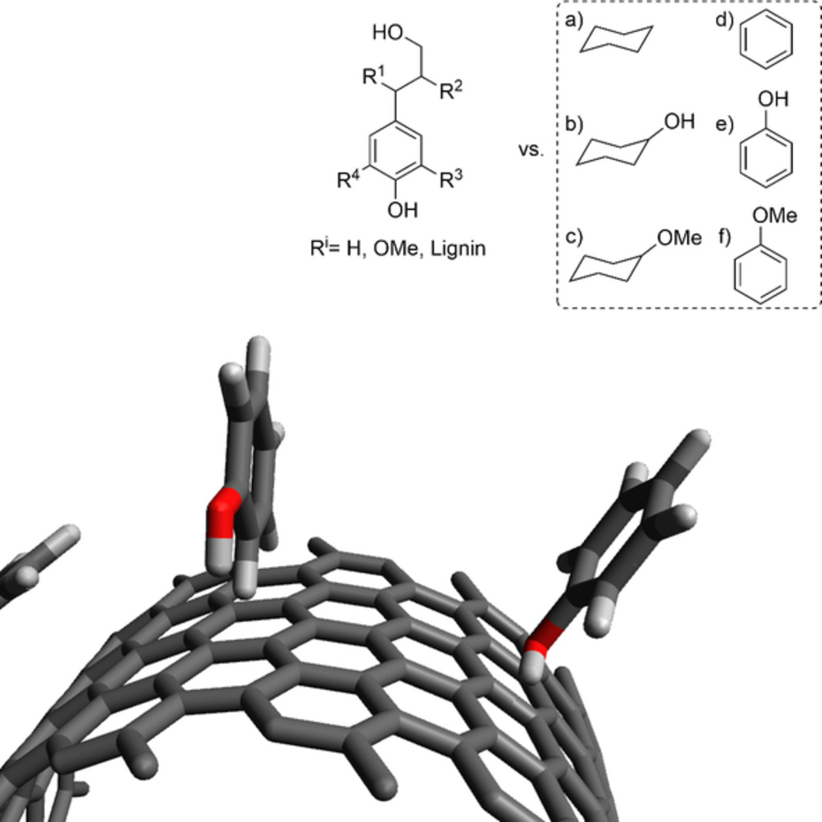Computational study on noncovalent interactions between (n, n) single‐walled carbon nanotubes and simple lignin model‐compounds