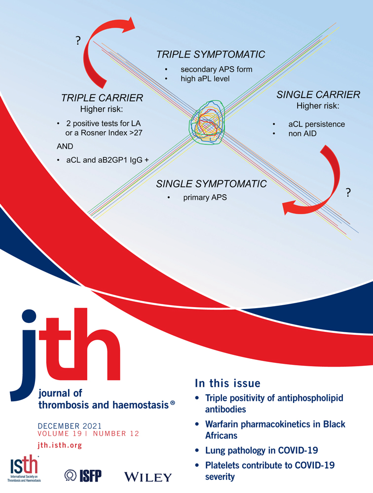 Breaking the fibrinolytic speed limit with microwheel co‐delivery of tissue plasminogen activator and plasminogen
