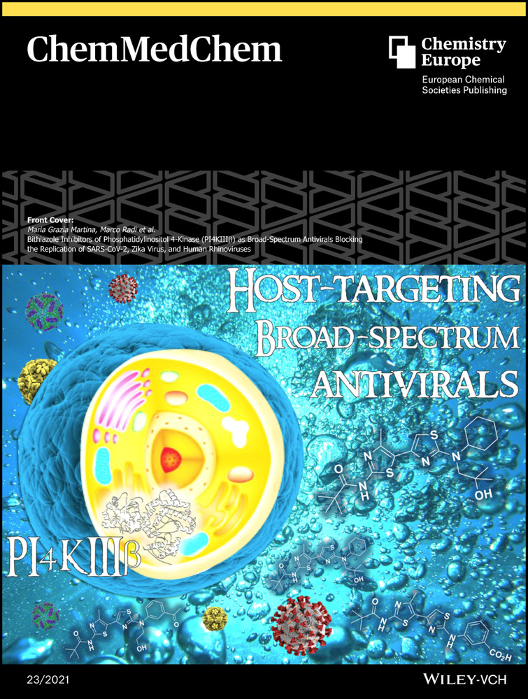 Amino acid‐anthraquinone click chemistry conjugates selectively target human telomeric G‐quadruplex
