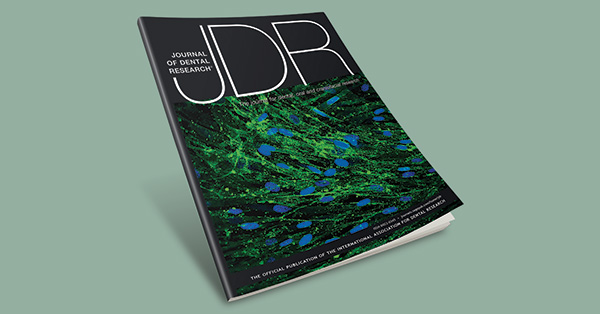 Chondrocyte Adipogenic Differentiation in Softening Osteoarthritic Cartilage