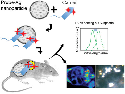 Silver nanoparticle in biosensor and bioimaging: Clinical perspectives