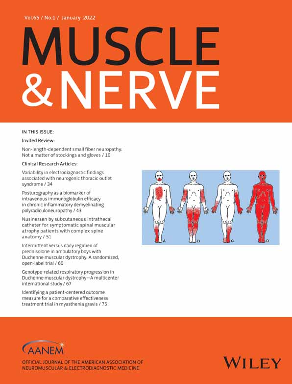Evidence‐based guideline: Neuromuscular ultrasound for the diagnosis of ulnar neuropathy at the elbow