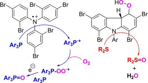 Photochemistry of Tris(2,4‐dibromophenyl)amine and its Application to Co‐oxidation on Sulfides and Phosphines†