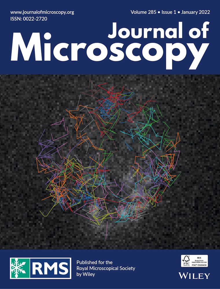 Assessment of the self‐healing capacity of cementitious materials through active thin sections
