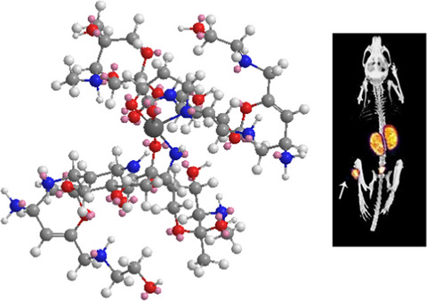 Radiolabeling, characterization and preclinical evaluation of plazomicin: a potential tracer for bacterial infection