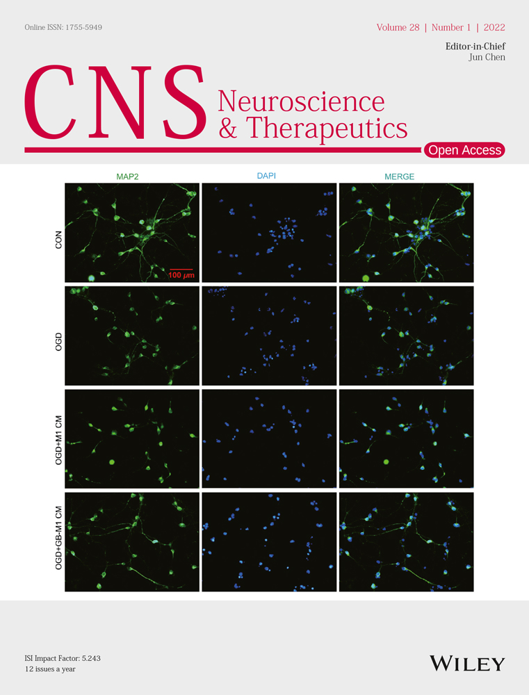 Retraction: Allopregnanolone restores the tyrosine hydroxylase‐positive neurons and motor performance in a 6‐OHDA‐injected mouse model
