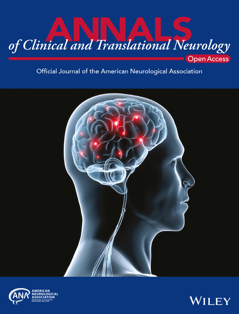 Altered executive control network connectivity in anti‐NMDA receptor encephalitis