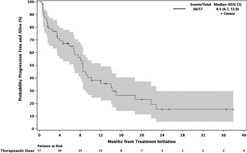 Filanesib plus bortezomib and dexamethasone in relapsed/refractory t(11;14) and 1q21 gain multiple myeloma