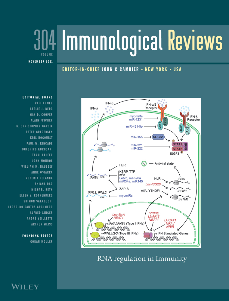 Epigenetic regulation of inflammation by CxxC domain‐containing proteins*