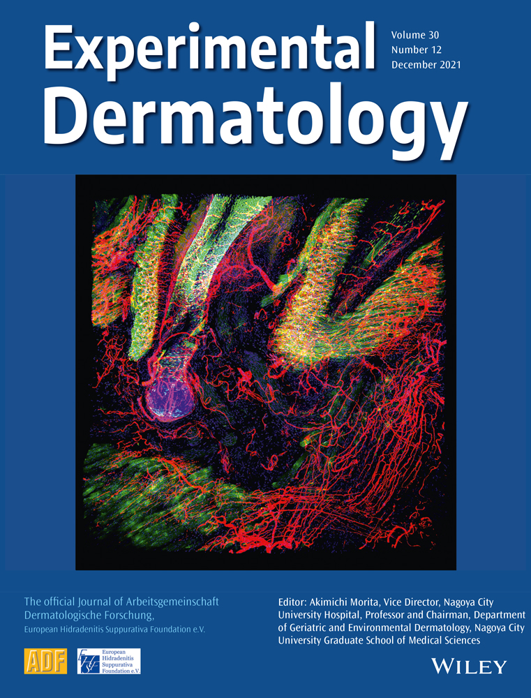 miR‐24‐3p obstructs the proliferation and migration of HSFs after thermal injury by targeting PPAR‐β and positively regulated by NF‐κB