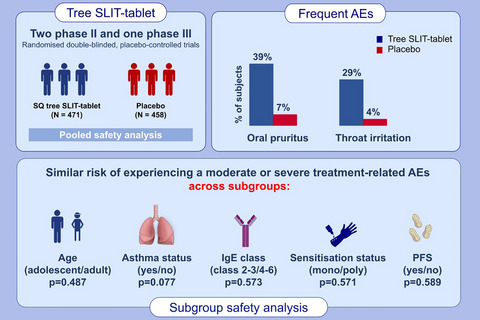 Safety of the standardized quality tree sublingual immunotherapy tablet: Pooled safety analysis of clinical trials